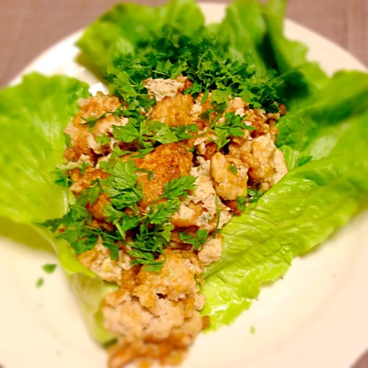 ブタ豆腐ミンチふわふわ揚げ。これは美味しかった☆ ビールにピッタリ。捗らない仕事から逃避して料理中…|honeyhunterさん