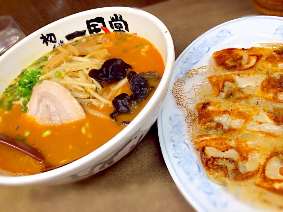 Snapdishの料理写真:じゃん辛ラーメン＆羽餃子|wildcat山猫さん