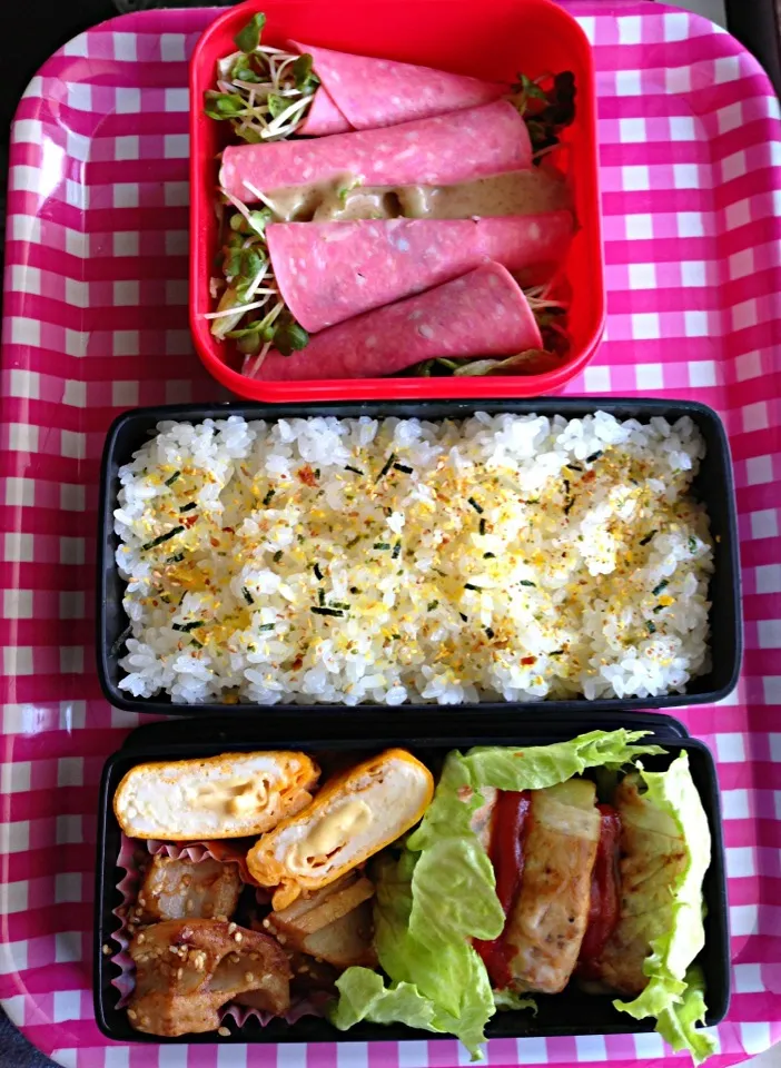 Snapdishの料理写真:肉巻ポテト弁当〜☆|なおこさん