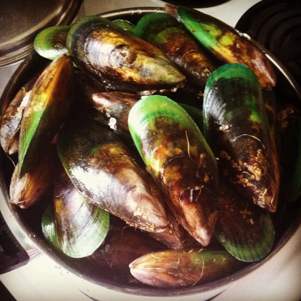 Mussels cooked in Garlic and White Wine|Cora Russell-Murphyさん