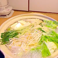 Snapdishの料理写真:塩ニンニク鍋|ayakoさん