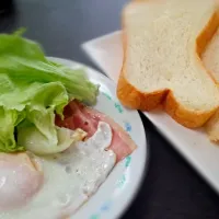 手作り食パン|すいぴっとさん