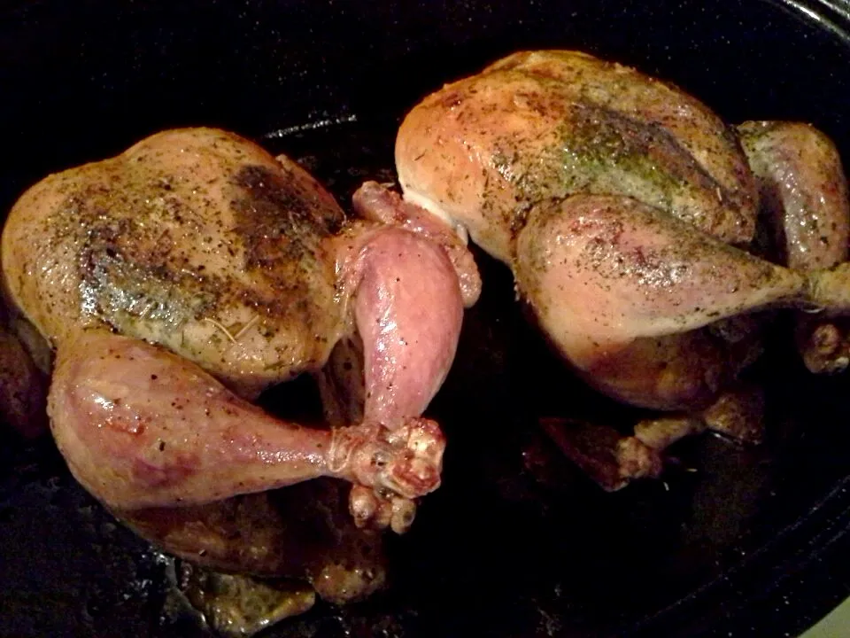 Zuni style roast chickens|Fe's kitchenさん