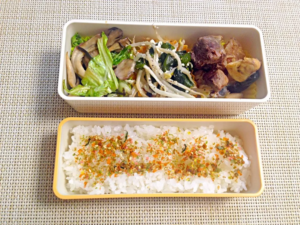 Snapdishの料理写真:本日のお弁当|satchさん