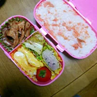 Snapdishの料理写真:しょうが焼き弁当♡|あかね☆さん