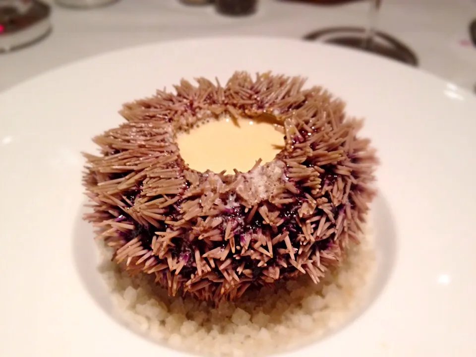 sea urchin soup|123455さん