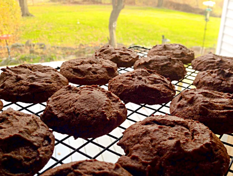 Chocolate peanut butter cup cookies|Dean M Rogersさん