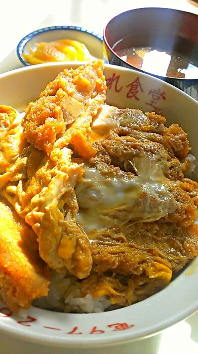 ソース味がついたカツの卵とじ丼(長野川上村)|miyakoさん