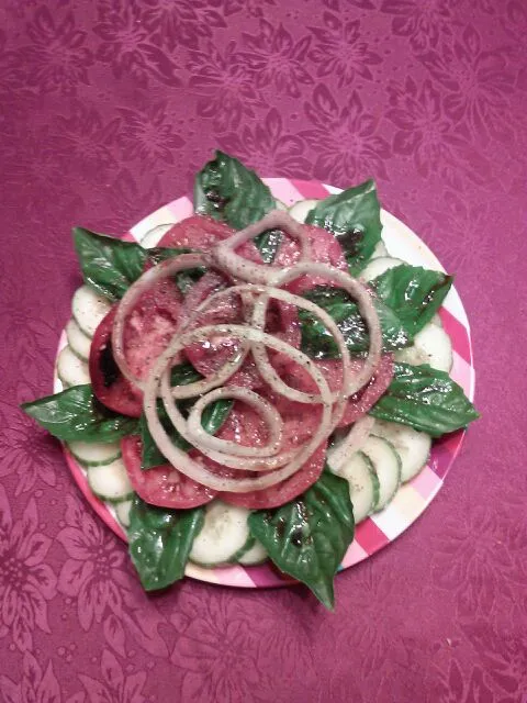 Cucumbers with fresh tomatoes, homegrown Basil, balsamic reduction, and onions|Polly Gelfusoさん