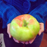 Big honey crisp apple|gofitlifeさん