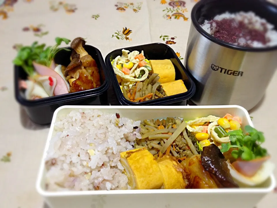 Snapdishの料理写真:11/13 お弁当|みっこりんさん