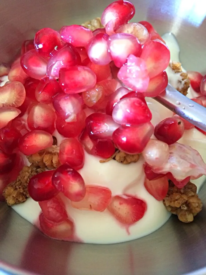 Yogurt with pomegranate and dried mulberries|Ong Sor Fernさん