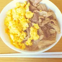 肉たまごごはん|あいりさん