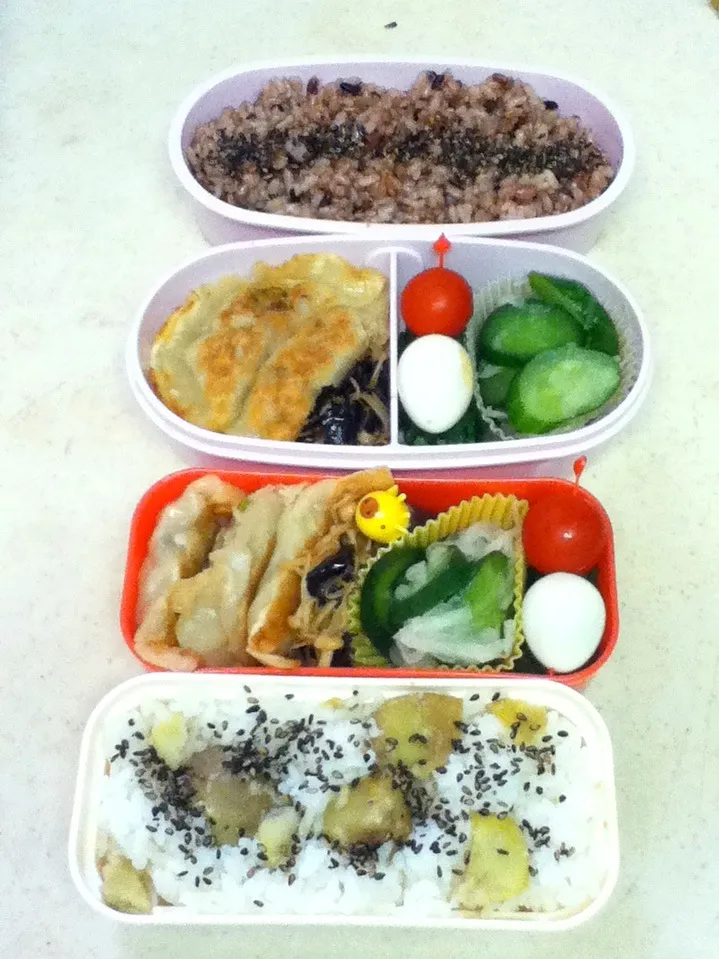 Today's lunch box. 手作り餃子うまうま^ ^JKは栗ごはん♪|hoppycowさん