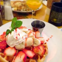 Belgium Waffle|tomoyo kimuraさん