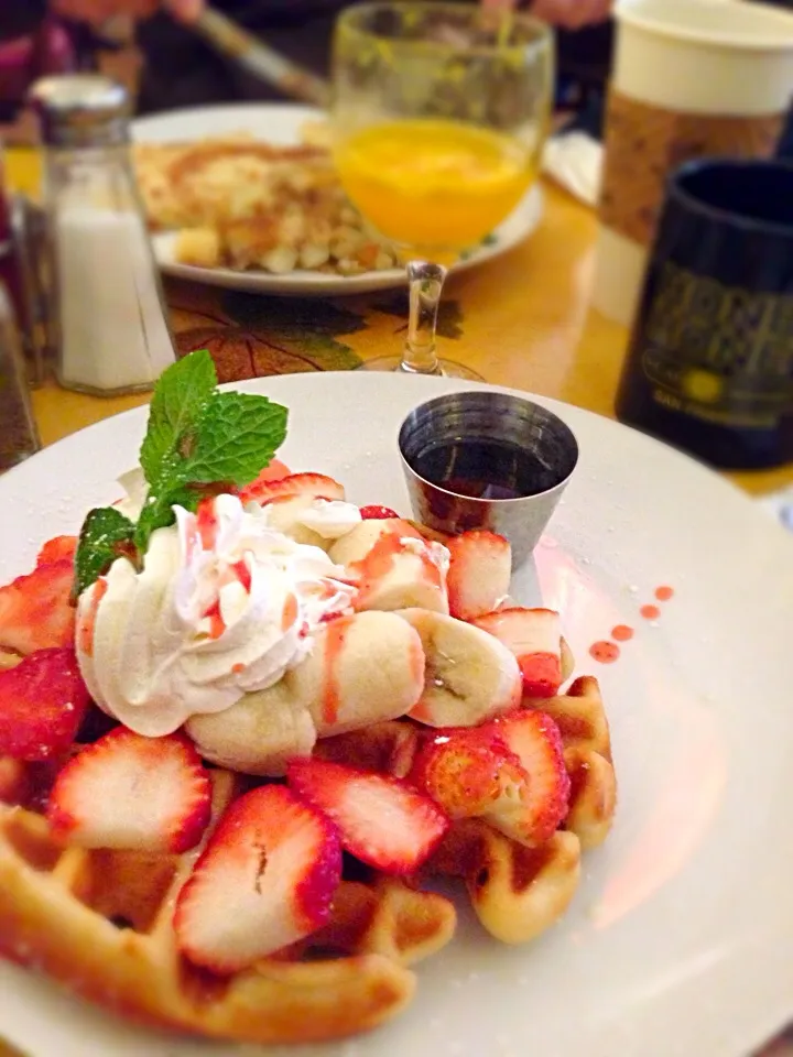 Belgium Waffle|tomoyo kimuraさん