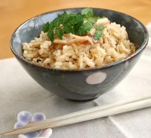 まな板いらず！ぞっこんイカで簡単いかめし|楽天市場のグルメさん