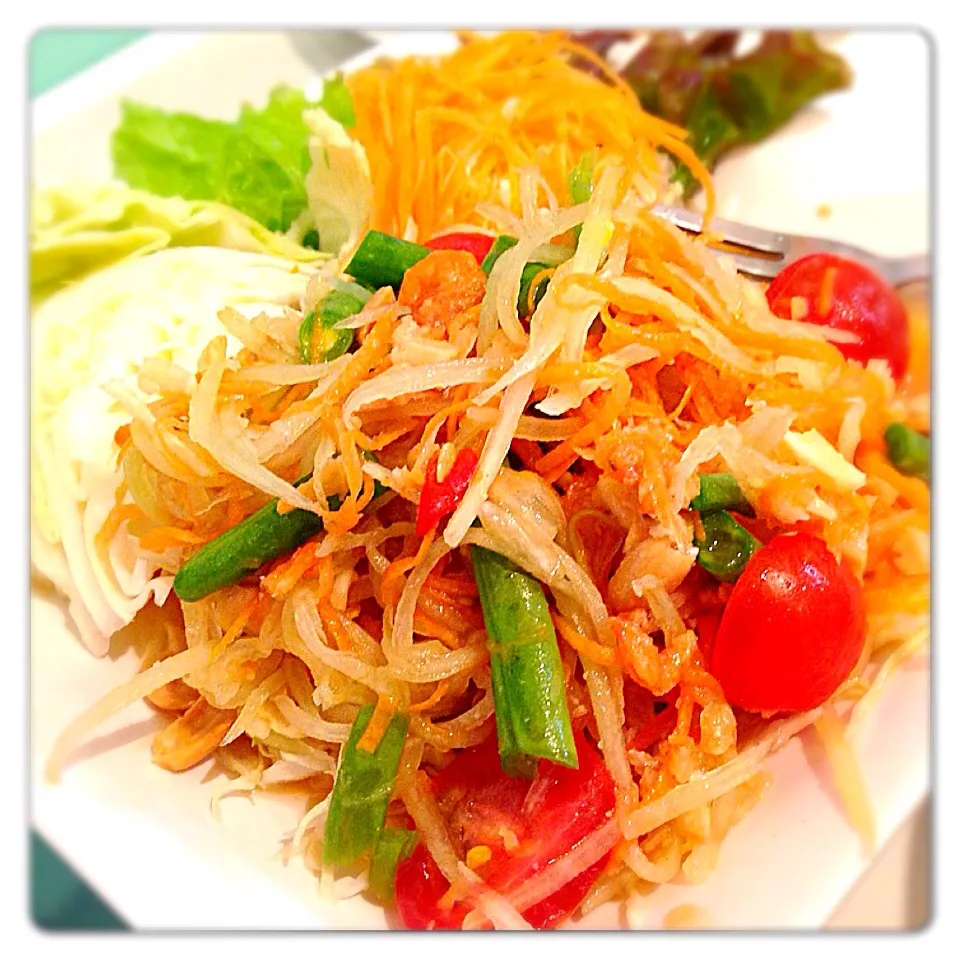 "Papaya Salad..美味しいそう（≧∇≦）"ส้มตำ..ถึงไม่มีปู..ไม่มีปลาร้า..ก็ยังอุตส่าห์จะกินส้มตำให้ได้น๊ะ..*\(^o^)/*|Porr Ishidaさん