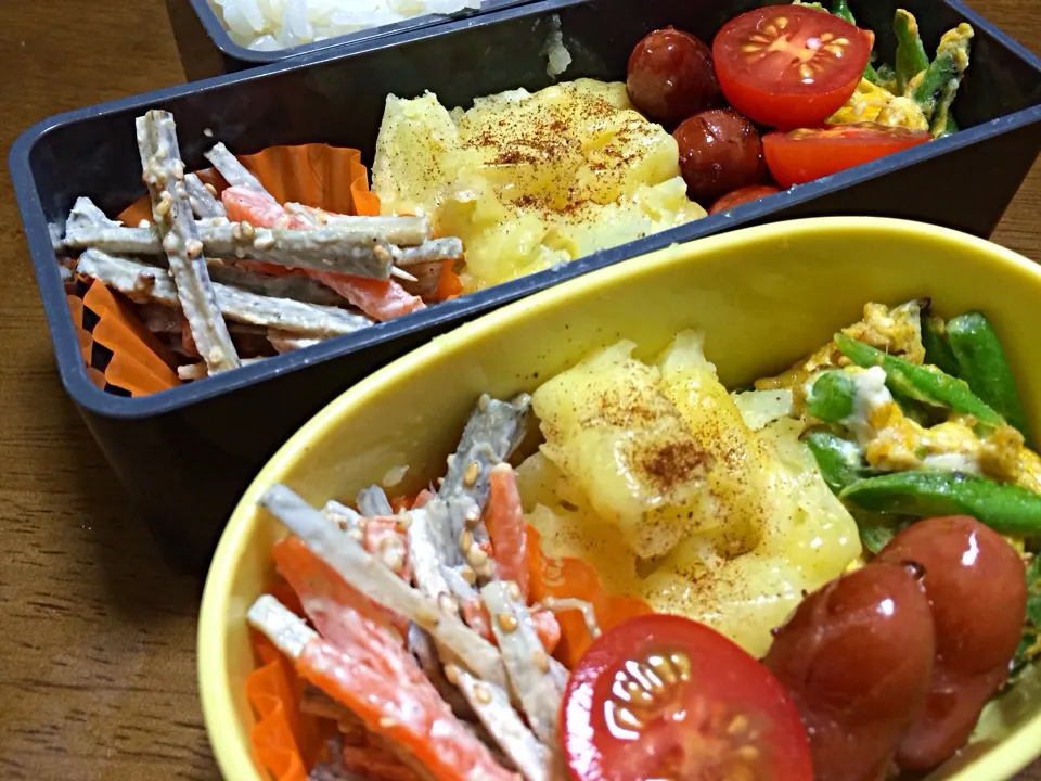 Snapdishの料理写真:11／15お弁当|美樹さん