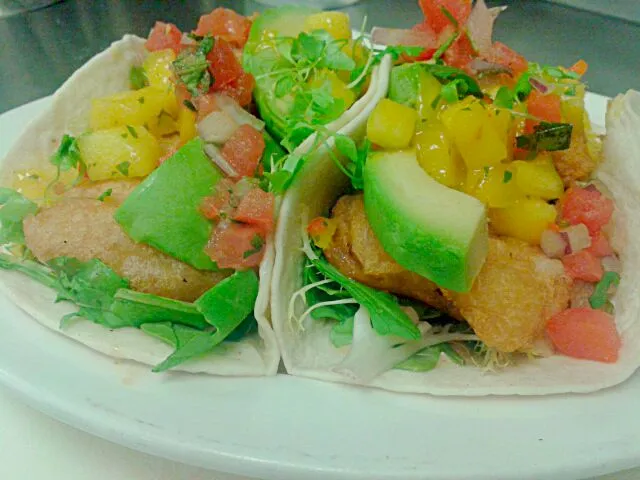 Beer Battered Mahi-Mahi Tacos dressed in Pico de Gallo & Mango Salsa|Bryan S. Mooreさん