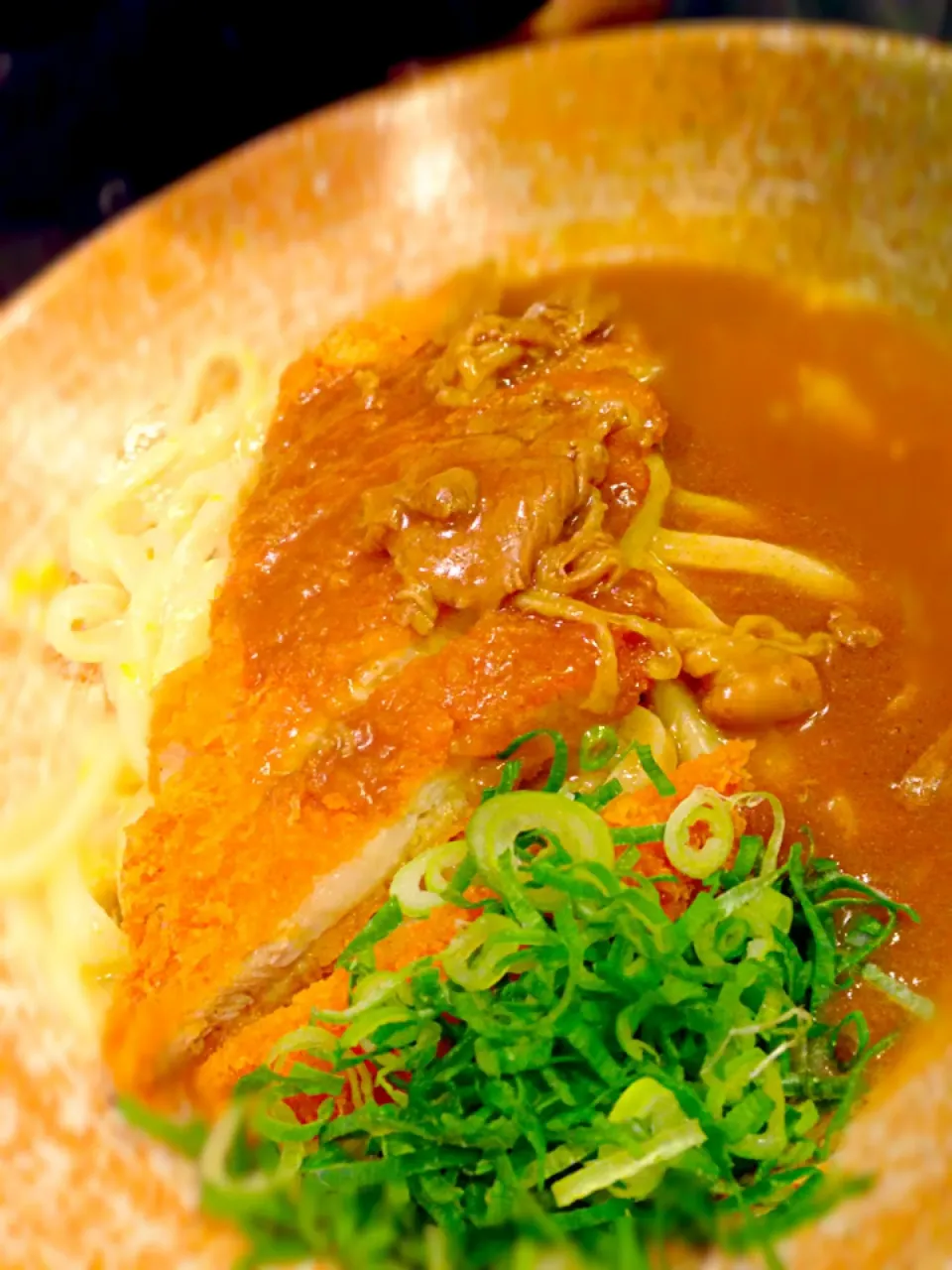 Curry Katsu udon, Osaka|coxiella24さん