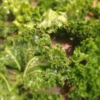 Snapdishの料理写真:Kale chips - before|boramyelleさん