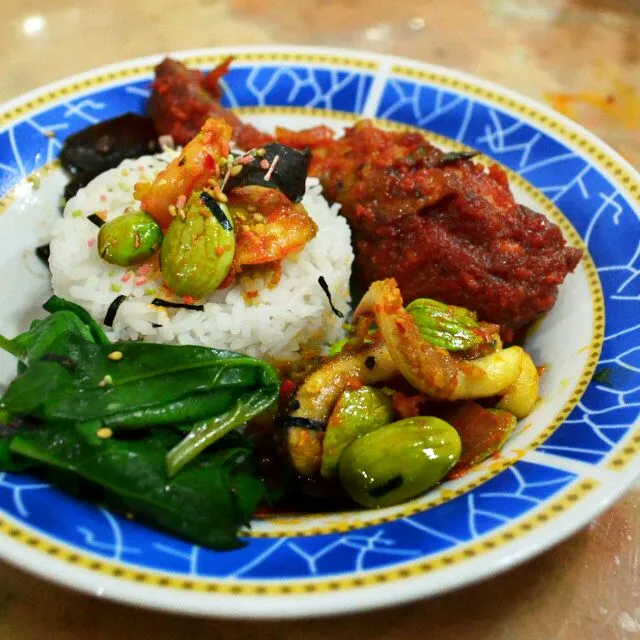 Rendang chicken rice|m!ckongさん