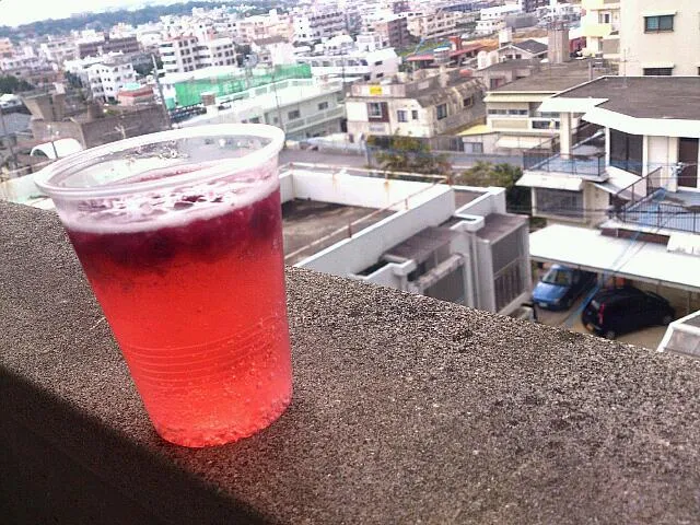 Raspberry spritzer|田辺弥生さん