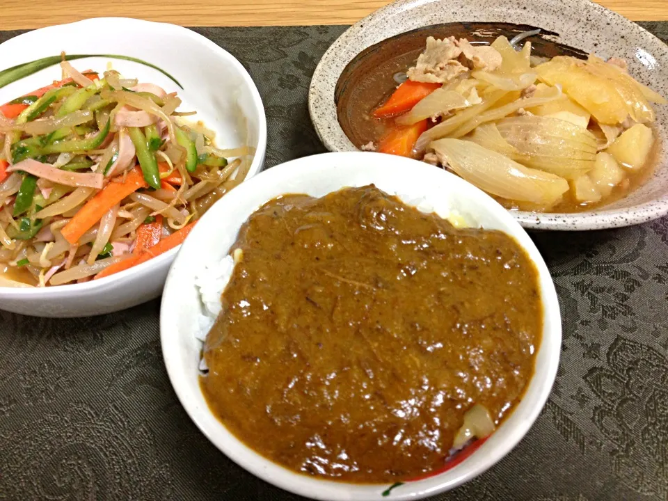 残りカレー、豚の肉じゃが、もやしの中華サラダ。|Angie44さん