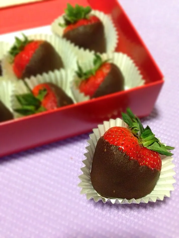 Chocolate Covered Strawberries|happycat^^さん