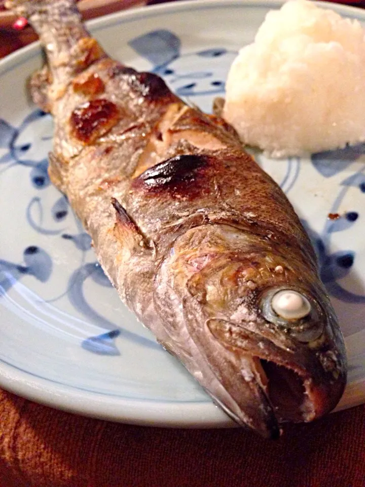 釣ったニジマスで塩焼き|やっさんさん