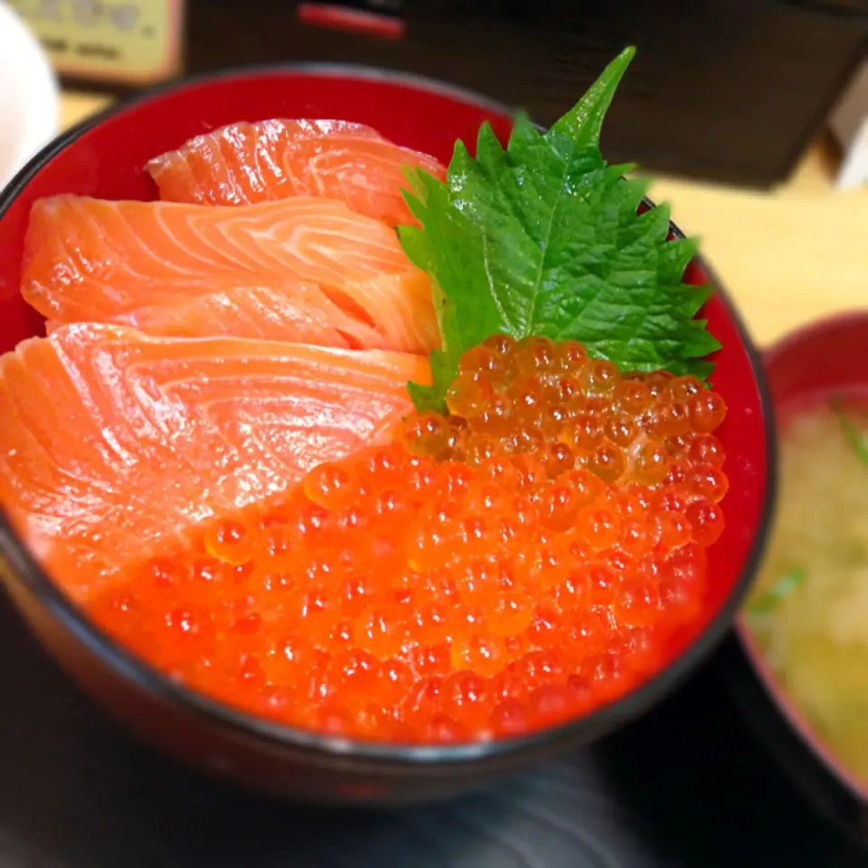 サーモンいくら丼|しおりさん