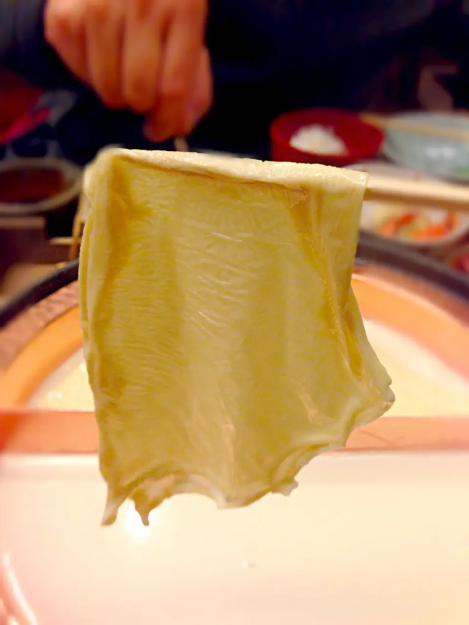 Yuba(beancurd skin), Kyoto|coxiella24さん