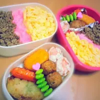 3色弁当。|marinさん