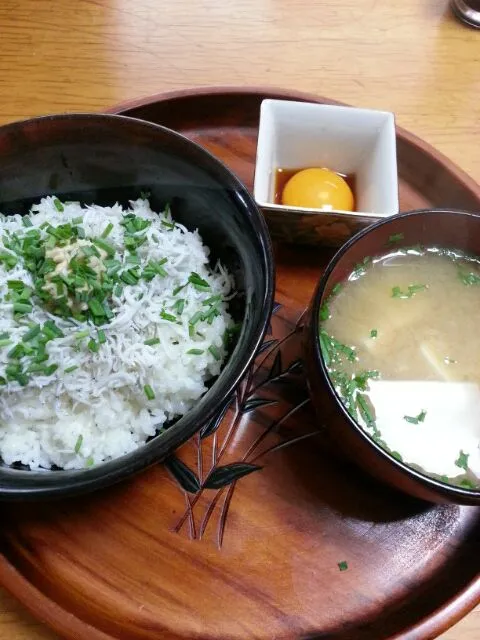 しらす丼|高木亜伊さん