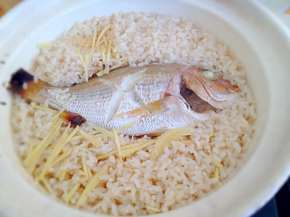 釣魚料理 土鍋鯛御飯|シンリーさん