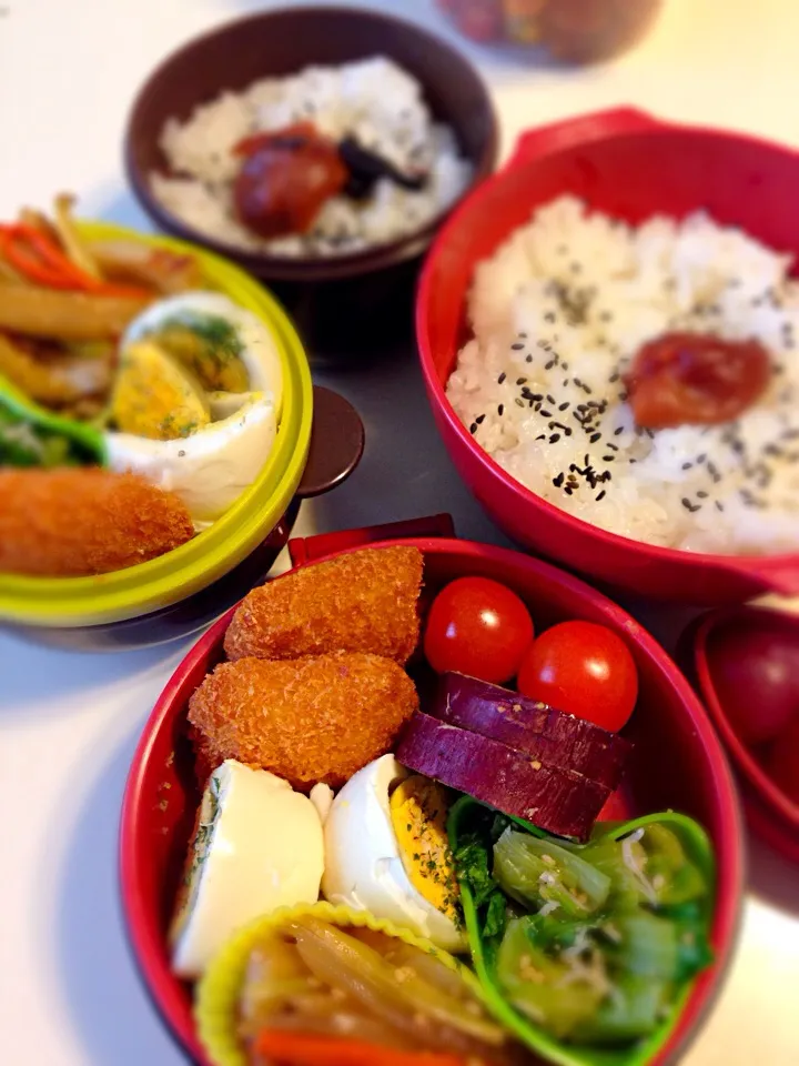 Snapdishの料理写真:11月20日お弁当|くにすけさん