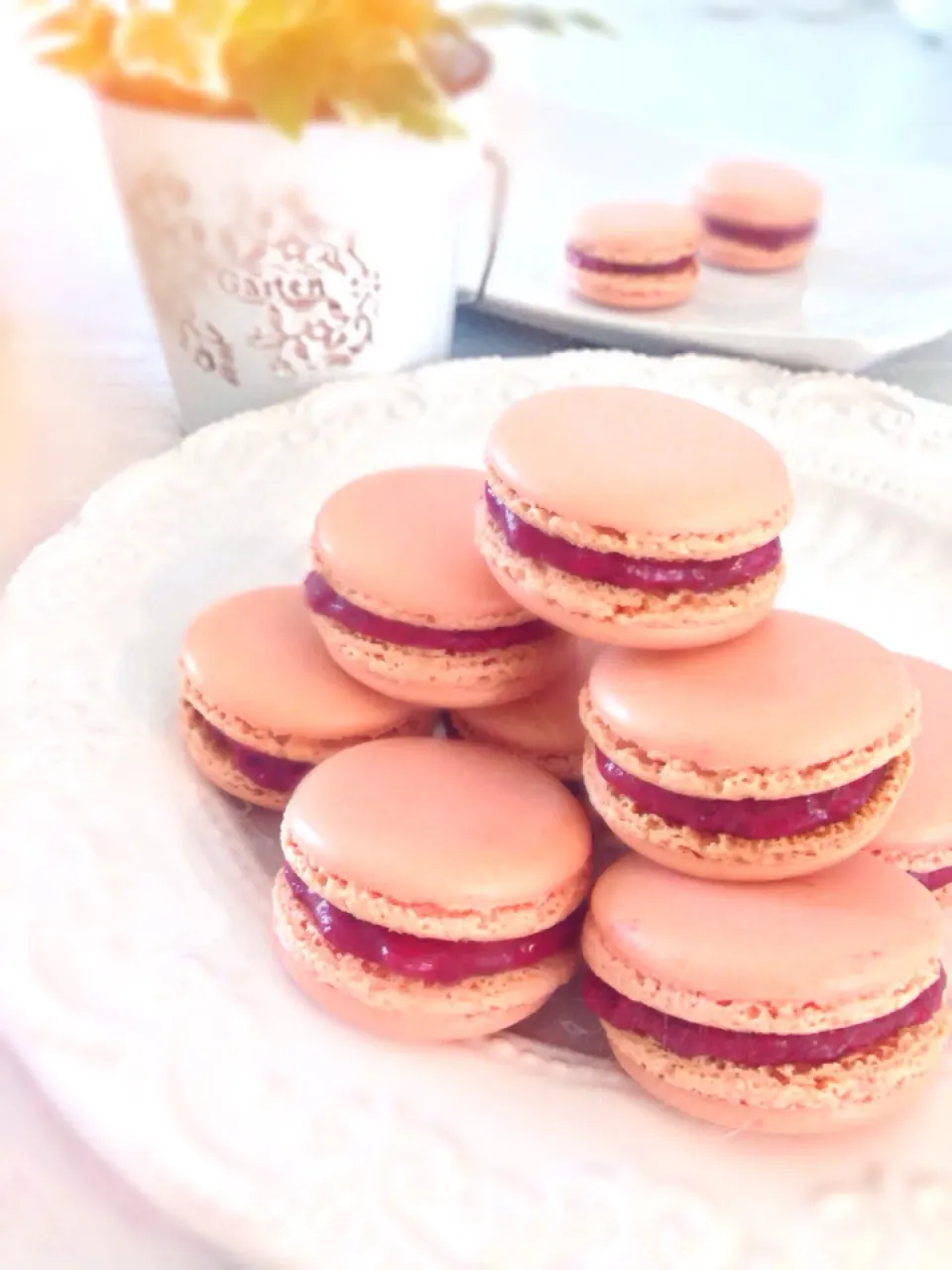 Macaron (raspberry flavor)|Cathyさん