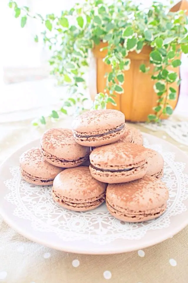 Macaron(chocolate flavor)|Cathyさん