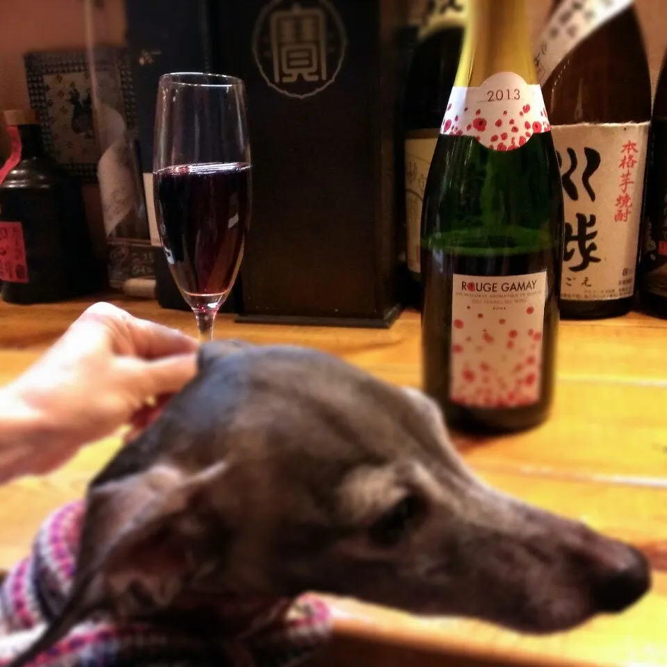 ROUGE GAMAY 2013|ふぃるまめんとさん