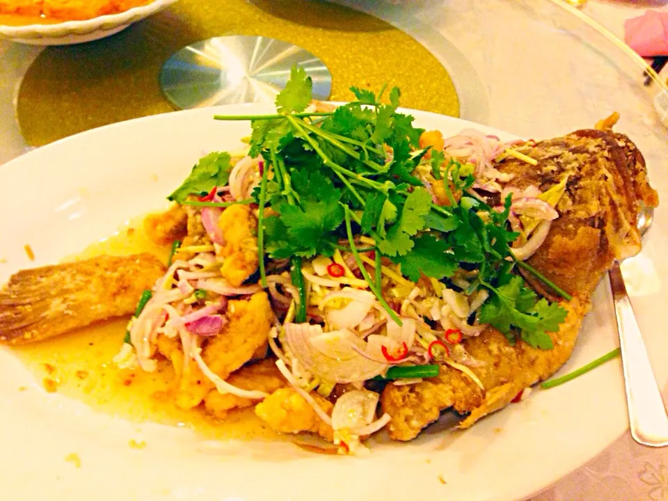 Fried Fish served with Mango Salad|Cerisseさん