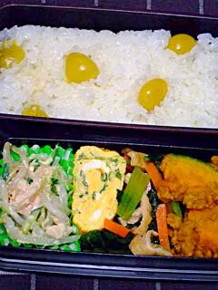 お弁当（銀杏ご飯、かぼちゃのカレーそぼろ、小松菜とにんじんと薄揚げの炒め物、ねぎとシラス入り卵焼き、シーチキンサラダ）|すーさん