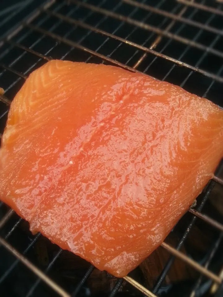 Maple and Brown Sugar Brined Salmon starting the long, slow, smoking process|Dustin Stairさん