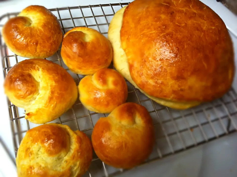 Brioche 型無手延べブリオッシュ。デカイのはブリー入り。さて、お味はいかに⁈|mamakumiさん