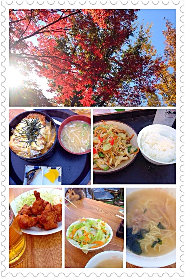 Viewing Autumnal Leaves🍁紅葉狩りしながら🍻|🌈Ami🍻さん