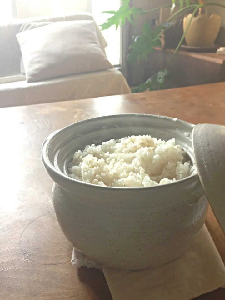 炊きたてなのに朝日で湯気消える。|ツルさん