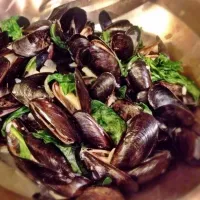 Snapdishの料理写真:Steamed Mussels|Erin Anneさん