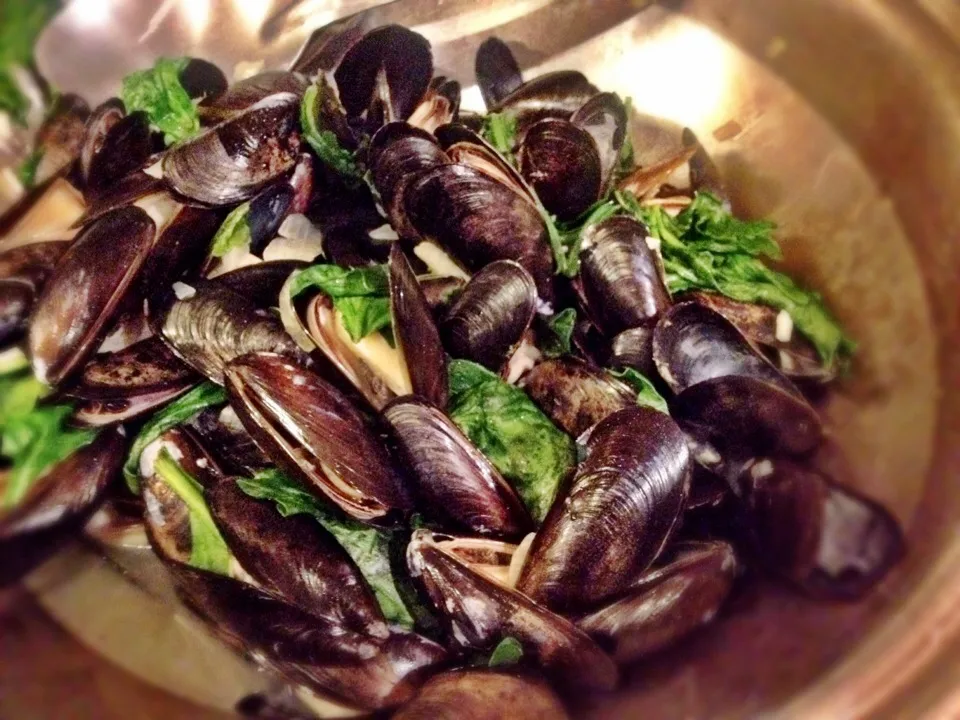 Steamed Mussels|Erin Anneさん