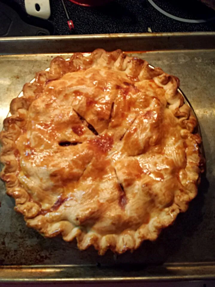 Apple pie with raisins and chopped pecans|Les Gazinskiさん