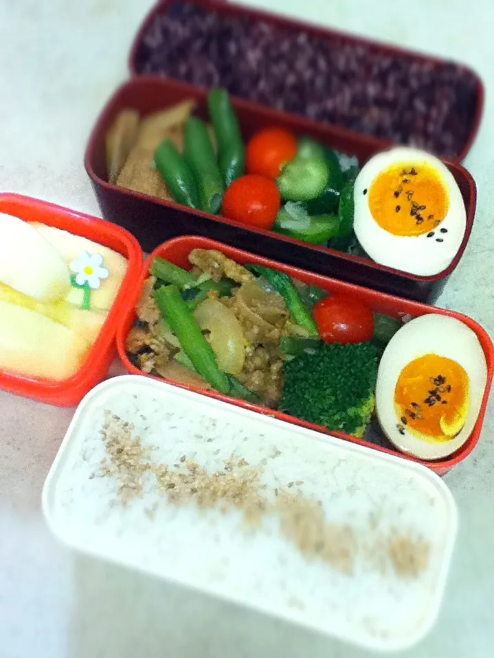 Today's lunch box.|hoppycowさん